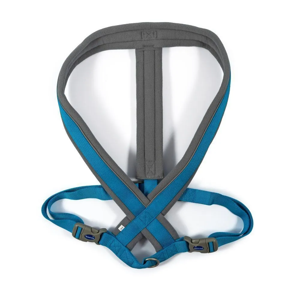 Ancol Viva X-Large Blue Padded Dog Harness