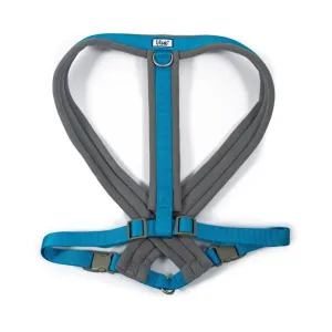 Ancol Viva XX-Large Blue Padded Dog Harness