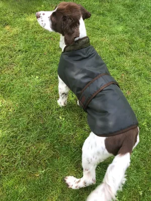 Dog Coat - Sage Wax